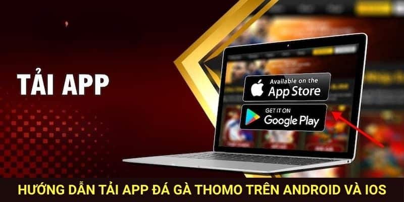 Các bước tải và cài đặt app đá gà vô cùng đơn giản và nhanh chóng.