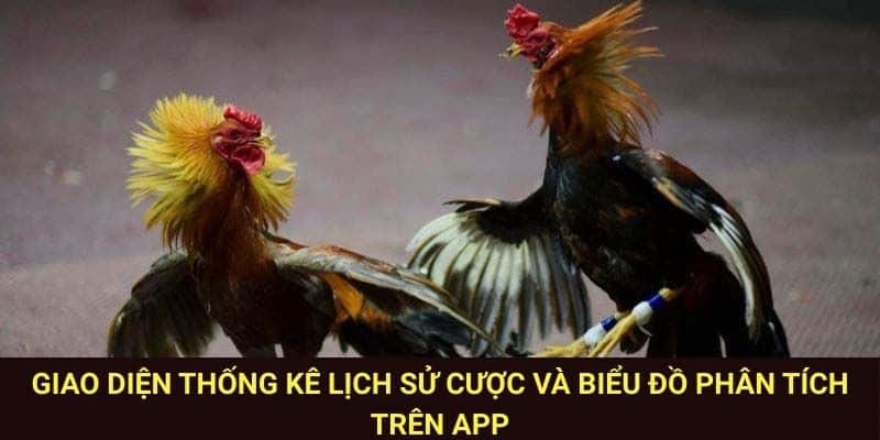 Quản lý vốn hiệu quả với app đá gà giúp người chơi kiểm soát tốt dòng tiền.